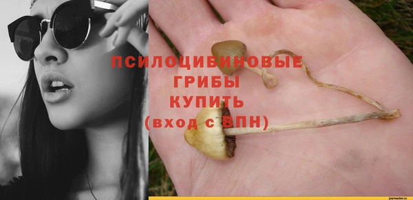 таблы Вязьма