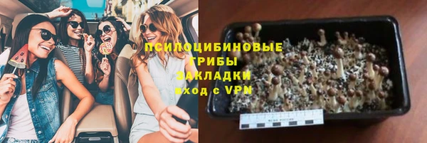 дурь Горняк