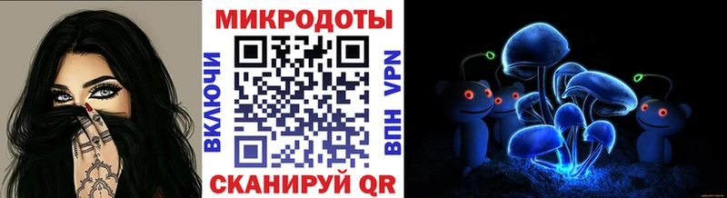 Псилоцибиновые грибы Psilocybine cubensis  Купить закладки  Кизляр 