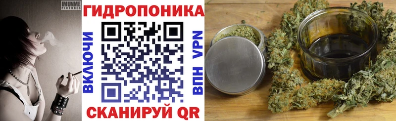 Купить где  Кизляр  Бошки Шишки тримм 